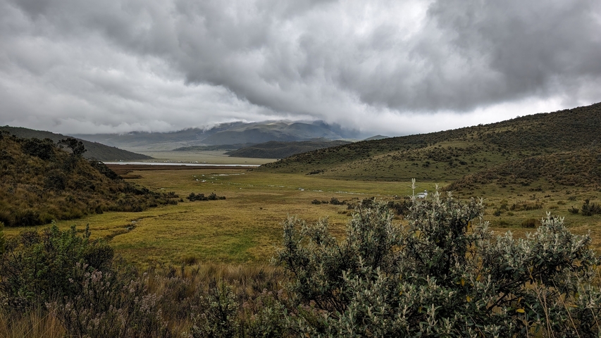 Foggy grassland with mountains in background.