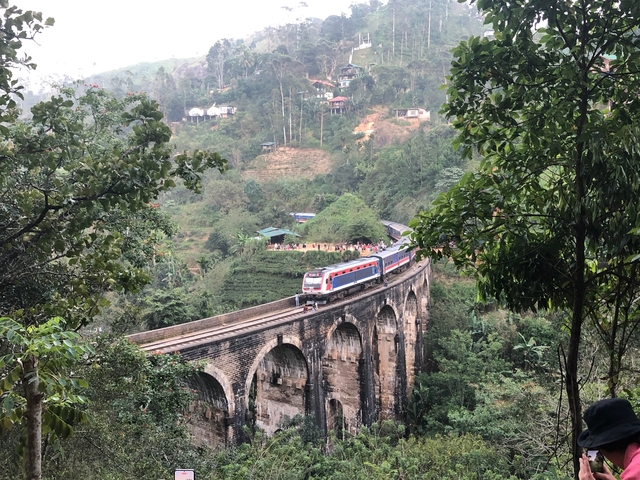       Train traveling on a scenic bridge surrounded by greenery.
  