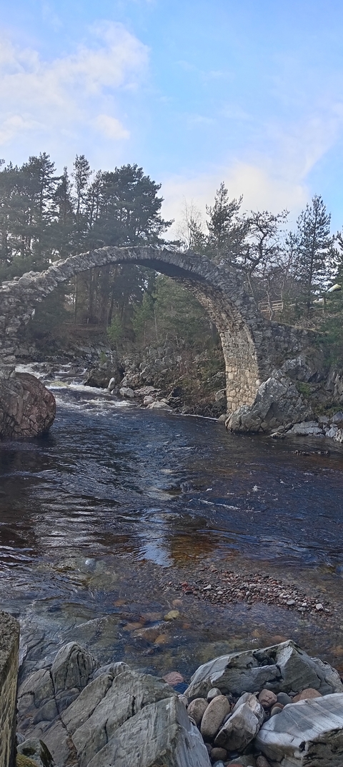       A stone bridge over a flowing river with lush greenery around.
  