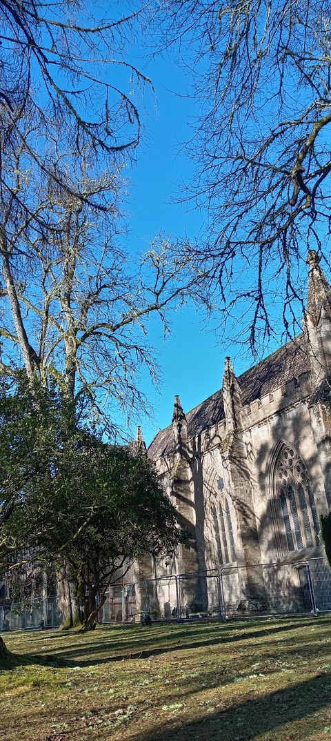       A gothic-style building topped by bare trees under a clear blue sky.
  