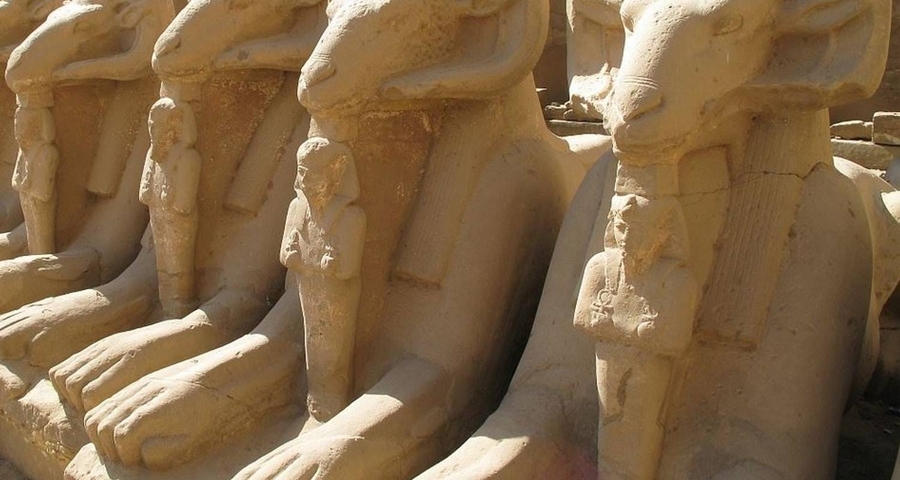       Statues of stone rams lining a path.
  