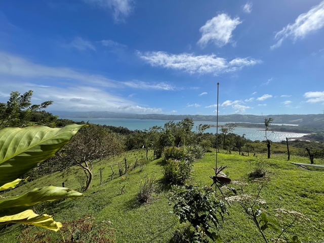       Scenic view of a lake with surrounding greenery.
  