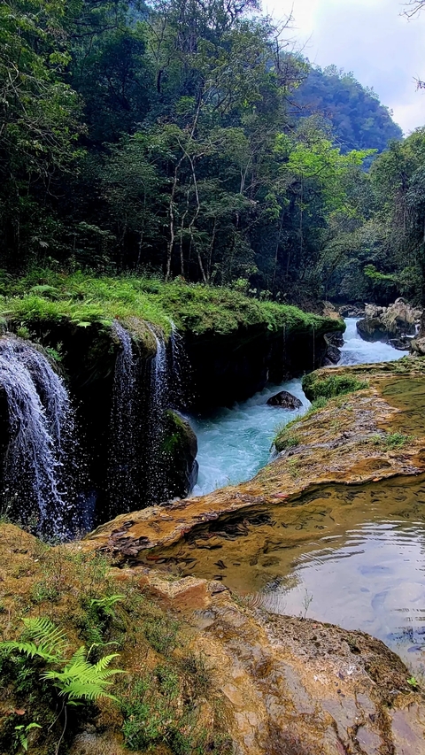Waterfall in a lush forest area.