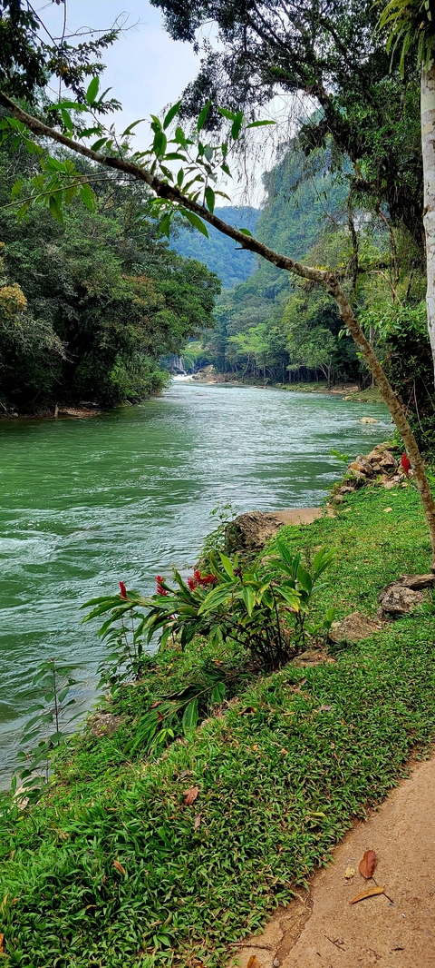River view with surrounding trees and rocks.