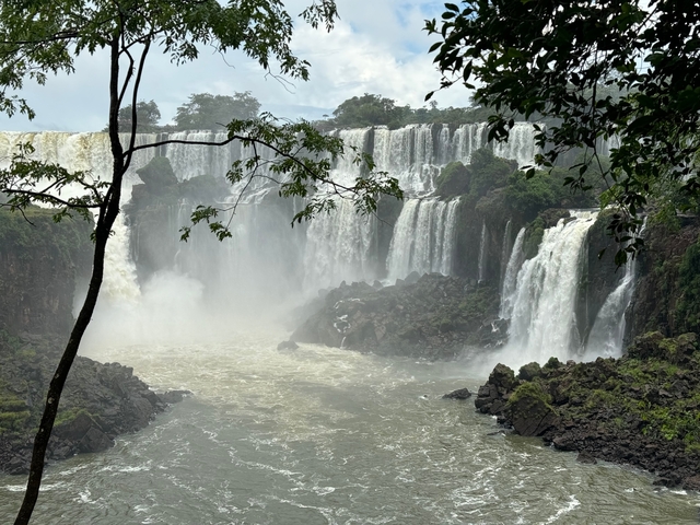 Waterfalls surrounded by lush forest