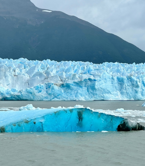 Blue ice glacier with water in the foreground