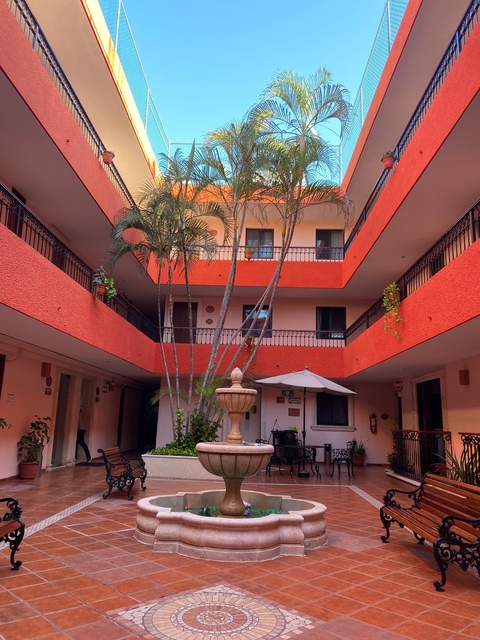       Interior courtyard of a colorful building with potted plants and palm trees.
  