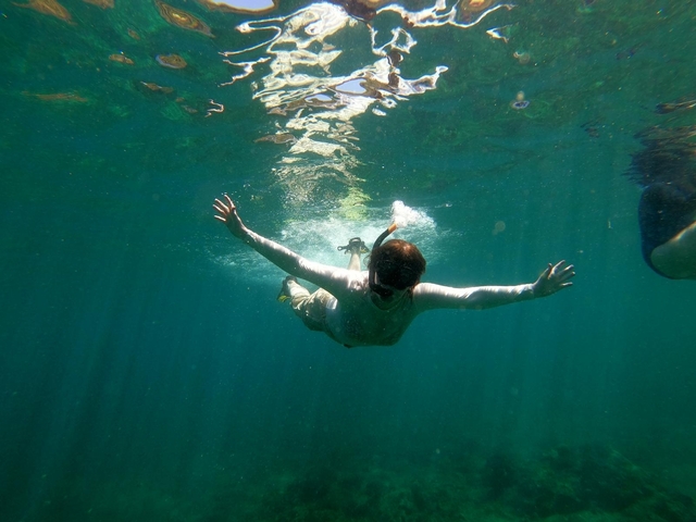 Person snorkeling under water.
