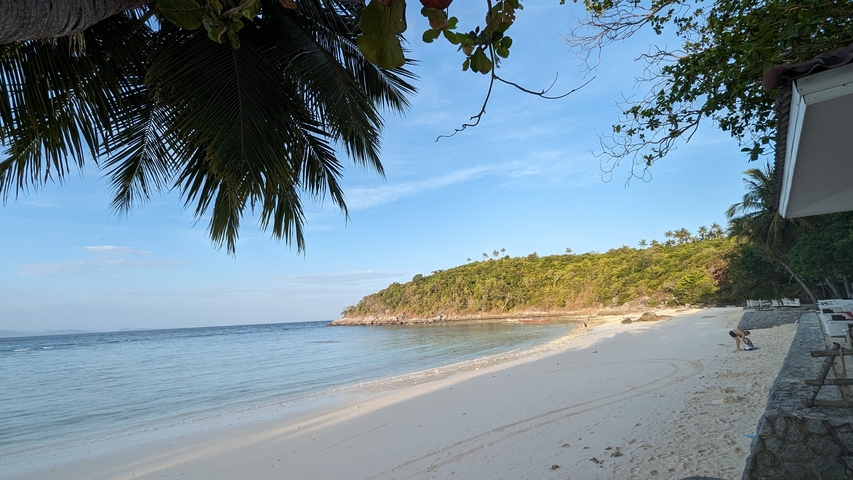 Idyllic beach with white sand, palm trees, and clear water.