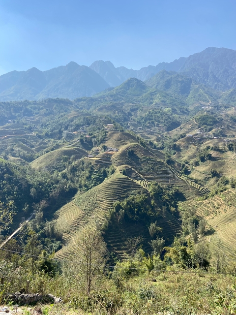 Terraced green fields in a hilly landscape.