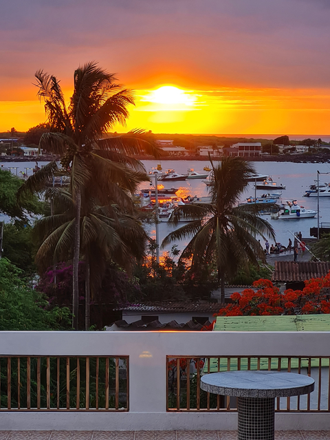 Sunset over a bay with palm trees and boats.