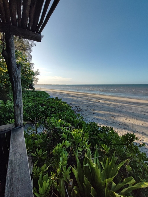 Beach with vegetation and the ocean during the day.