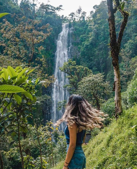 Klantbeoordelingsfoto van 6 dagen Tanzania Noordelijke Circuit Safari , Materuni Waterval & Koffieplantage 