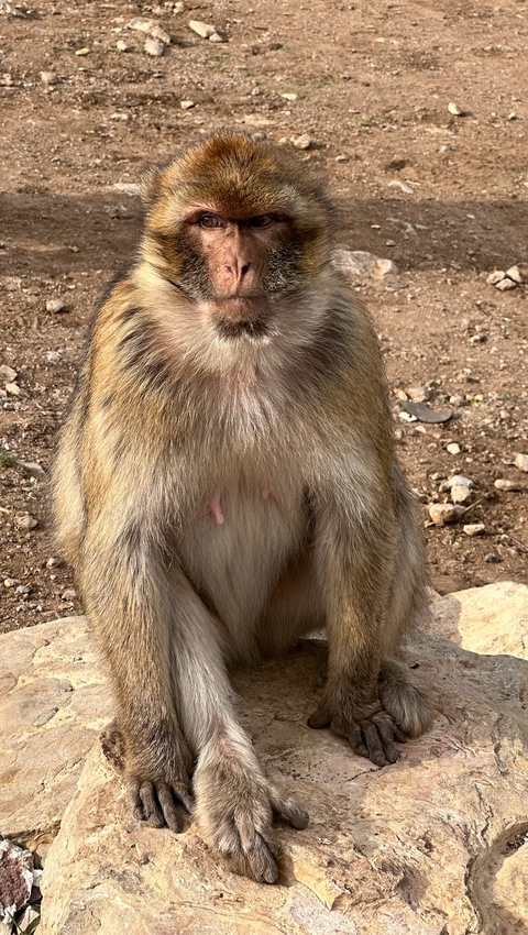Wüstenrundreise von Fes nach Marrakech (4 Tage) Foto von Kundenbewertung 