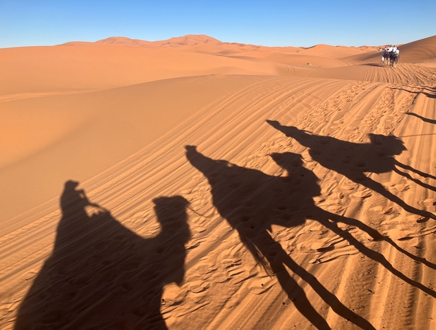 Silhouettes of camel riders in the desert.