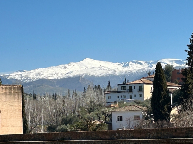 Snow-capped mountains viewed over rooftops.