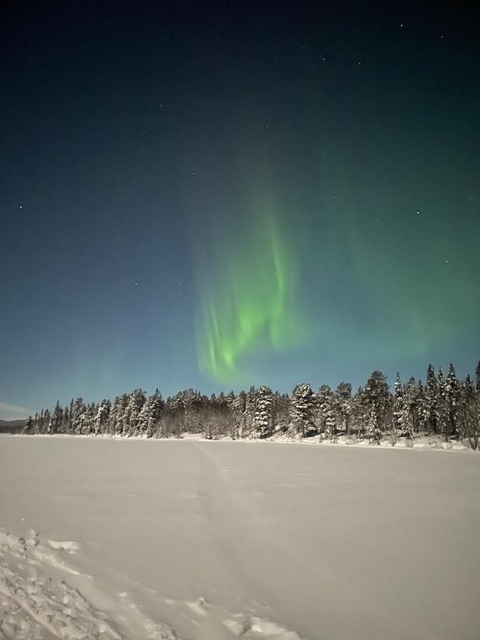 Photo d'avis client sur Voyage d'hiver en Laponie sauvage, 7 nuits 