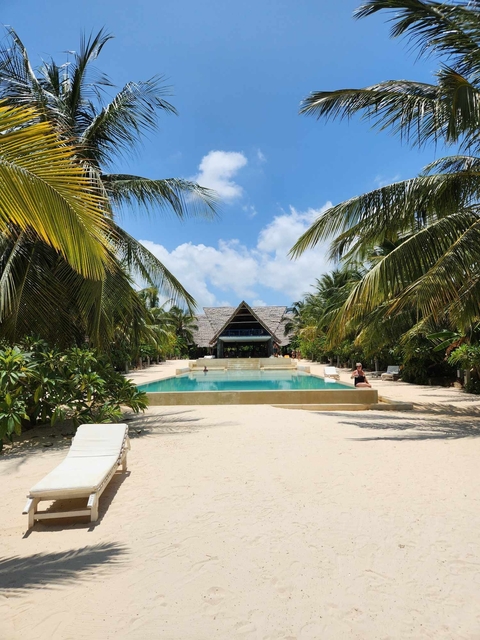 Tropical beach resort with palm trees and a pool.