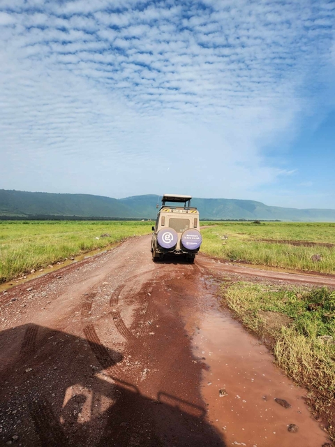       Safari vehicle on a dirt road in the open savannah.
  