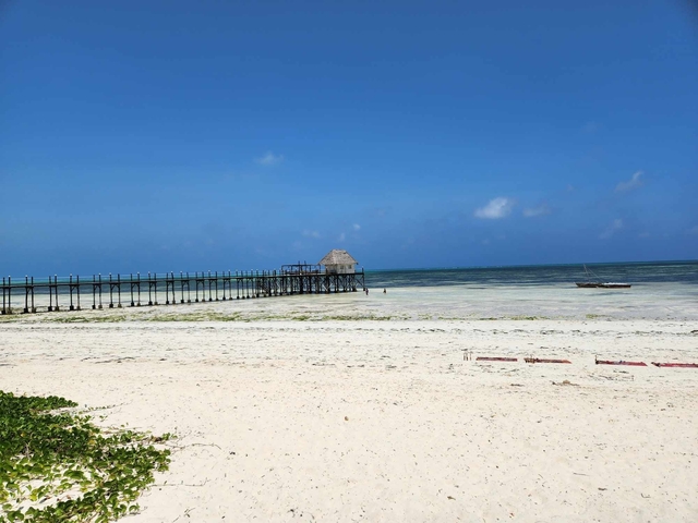       Pier extending out into a shallow sea with a thatched-roof hut.
  