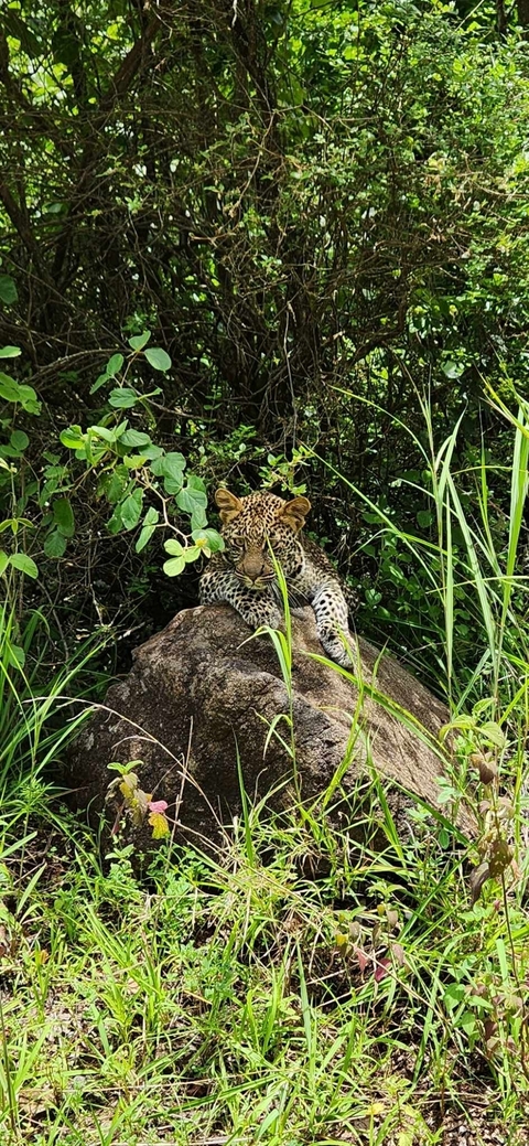Klantbeoordelingsfoto van Van Tanzania naar Zanzibar – wit stranden & de wildernis 