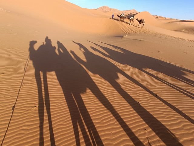       Shadows of camels and people on sand dunes.
  