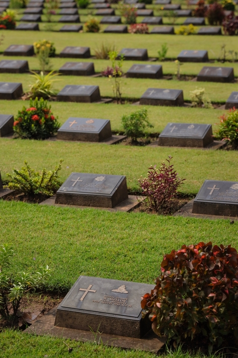       War cemetery with neatly aligned headstones on green grass
  