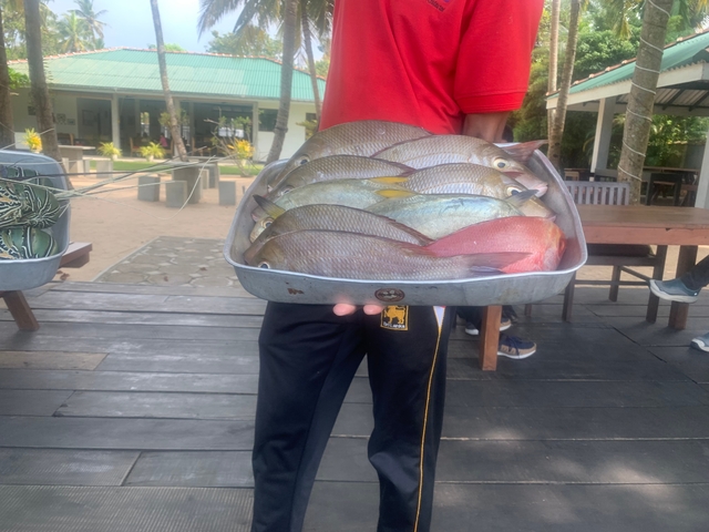       Person holding a tray full of different fish on display.
  