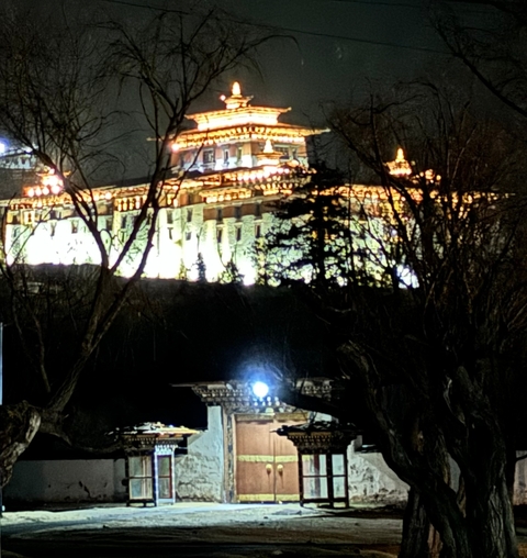       Illuminated fortress against a night sky with trees in the foreground.
  