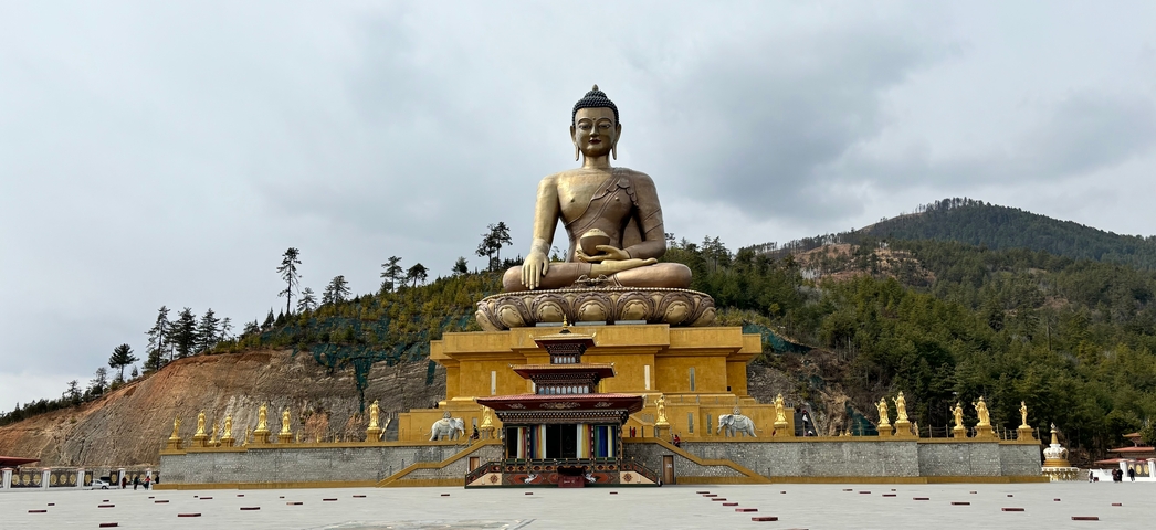       A large statue of Buddha sitting in a meditative pose on a hill.
  