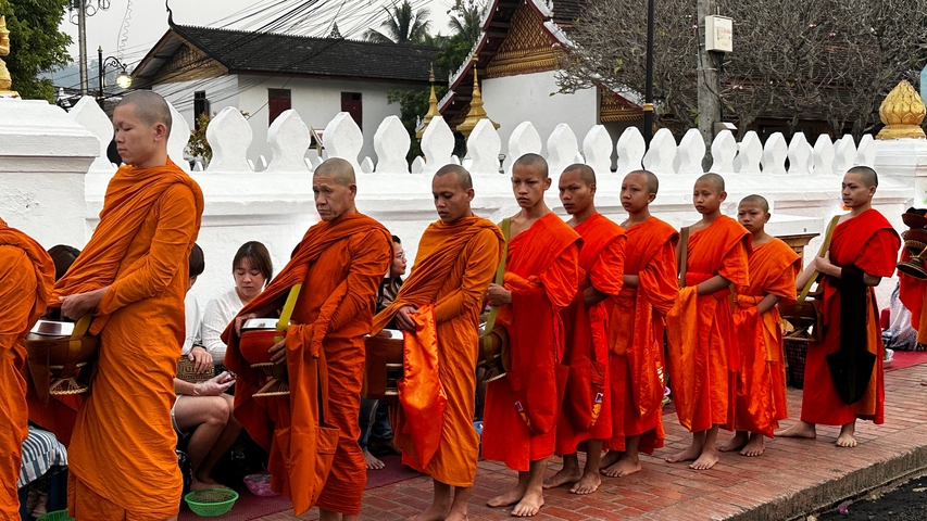 Line of monks in orange robes receiving alms.