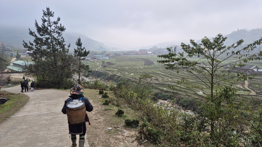 Person walking on a path with rice terraces and misty mountains.
