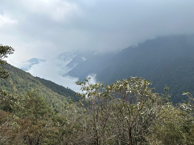       Fog-covered mountains with lush vegetation.
  