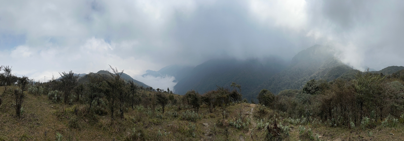       Landscape with low vegetation and misty mountains.
  