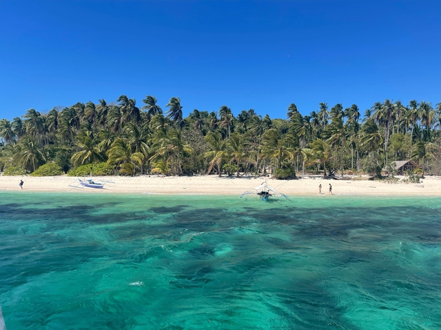       Palm trees lining a tropical beach with turquoise water.
  
