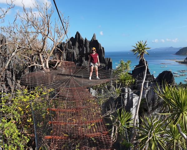      Person standing on a metal observation deck over scenic cliffs and ocean.
  