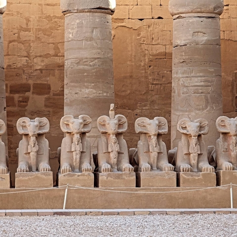 Row of ram-headed sphinx statues.