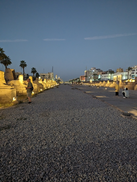 Avenue of sphinxes leading through a city at dusk.