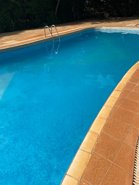       Corner of a swimming pool showing blue water and rim.
  