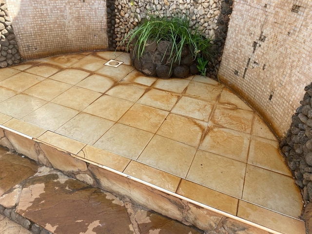       Stained and grungy outdoor tiled area with plants.
  