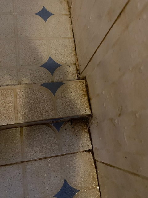       Dirty stairs in dimly lit environment.
  