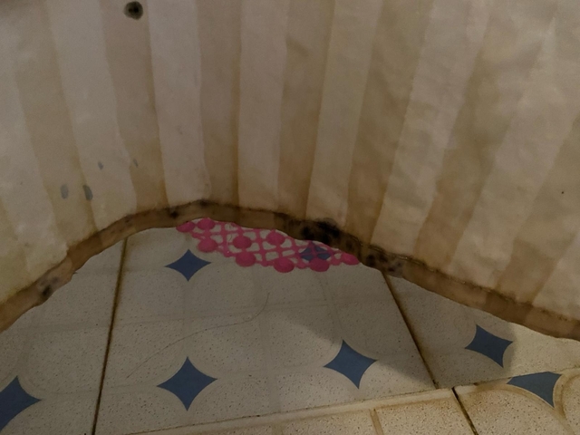       Dirty shower curtain with mold at the bottom.
  