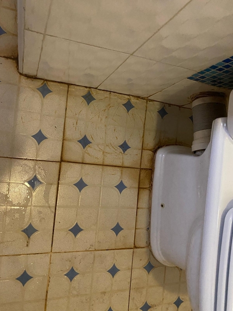       Bathroom wall with discoloration and toilet visible.
  