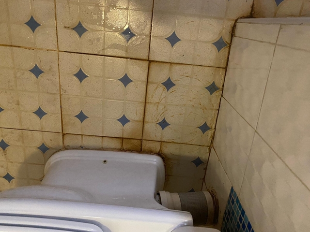       Bathroom wall with discoloration and toilet visible.
  