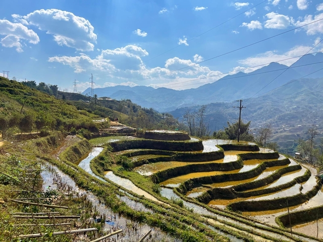       Terraced rice fields with mountains in the background under a blue sky.
  