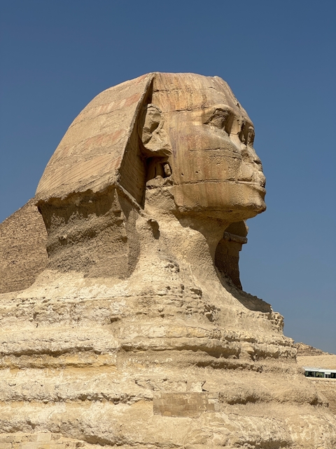       Partial view of the Sphinx with clear blue sky.
  