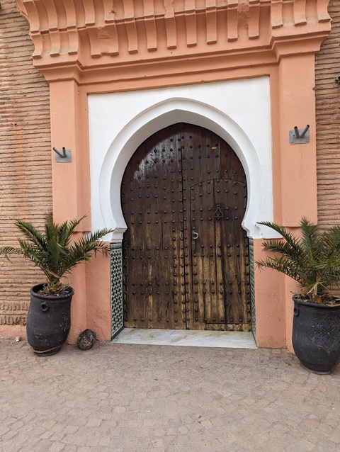       Ornate wooden door with potted plants.
  