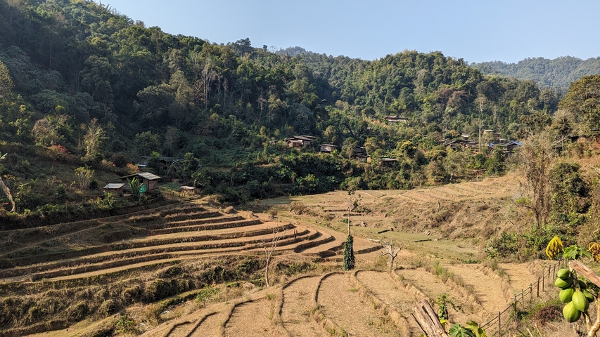 Terraced fields in a mountainous region.