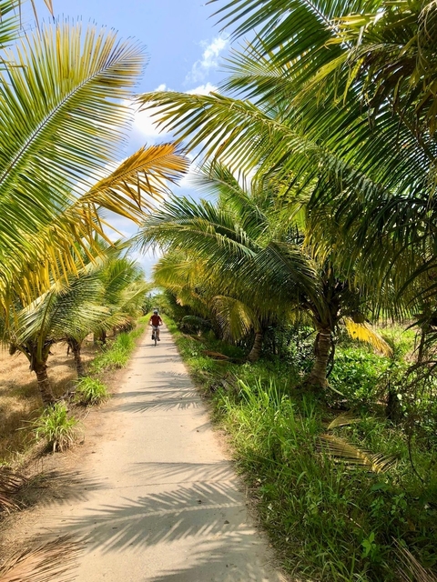 Person cycling through a path lined with palm trees.