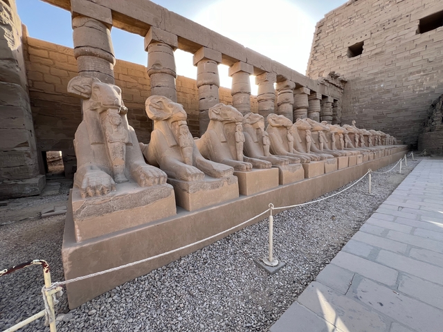       Row of ram-headed sphinxes outside a temple.
  